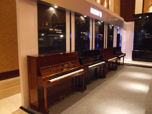2009年酷游ku游登陆页
钢琴管乐重要经销商大会圆满举行 