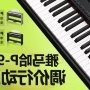 酷游ku游登陆页
P-95数码钢琴，调价行动即日展开 